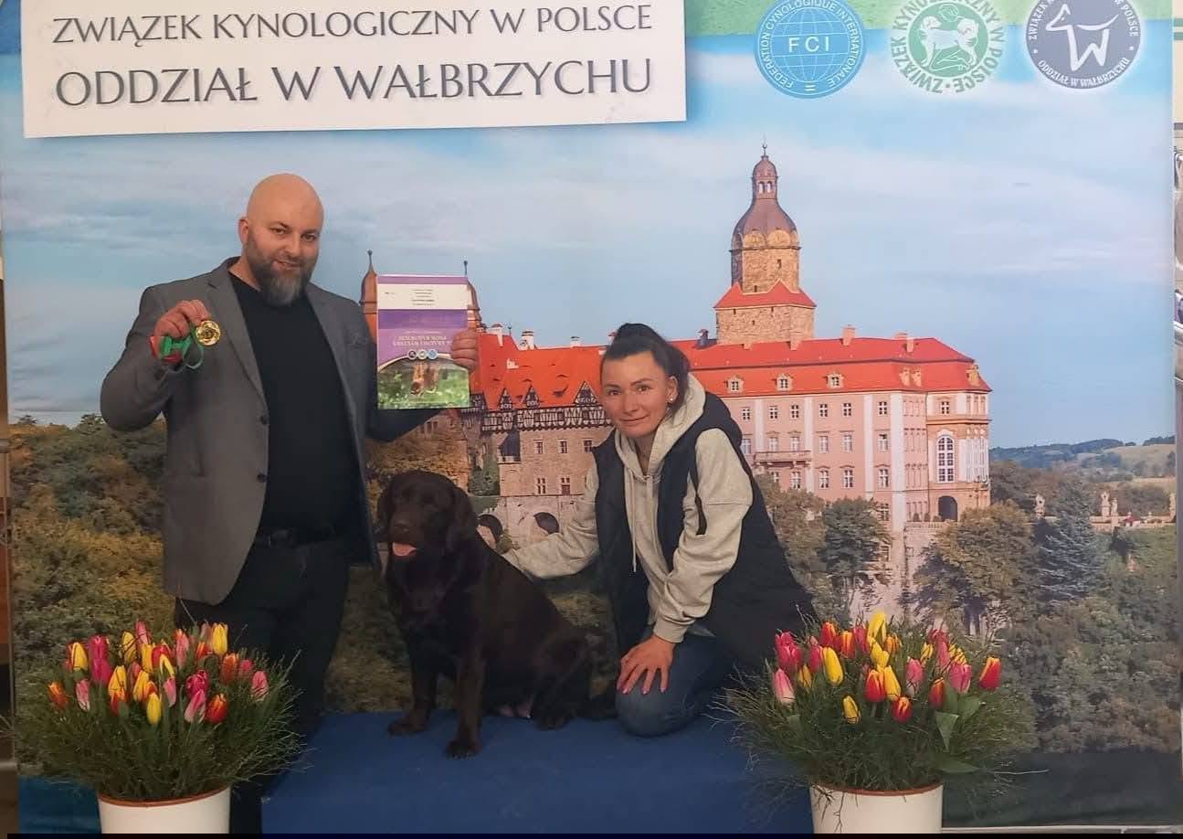 Dawno nas tu nie było 😁 – FIGO LABS FCI