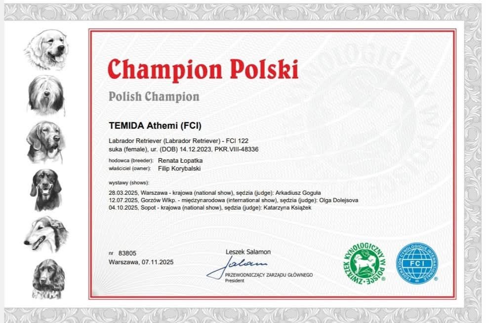 Temi🤎 oficjalnie Championem Polski – FIGO LABS FCI