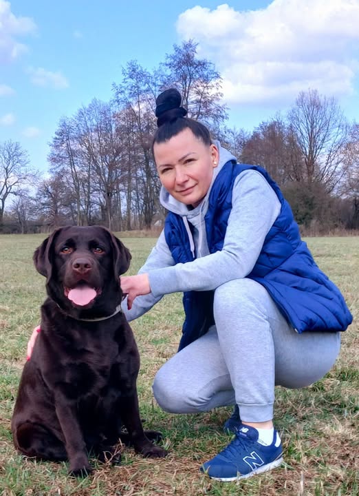 5 rzeczy, które musisz wiedzieć o labradorach☺️ – FIGO LABS FCI