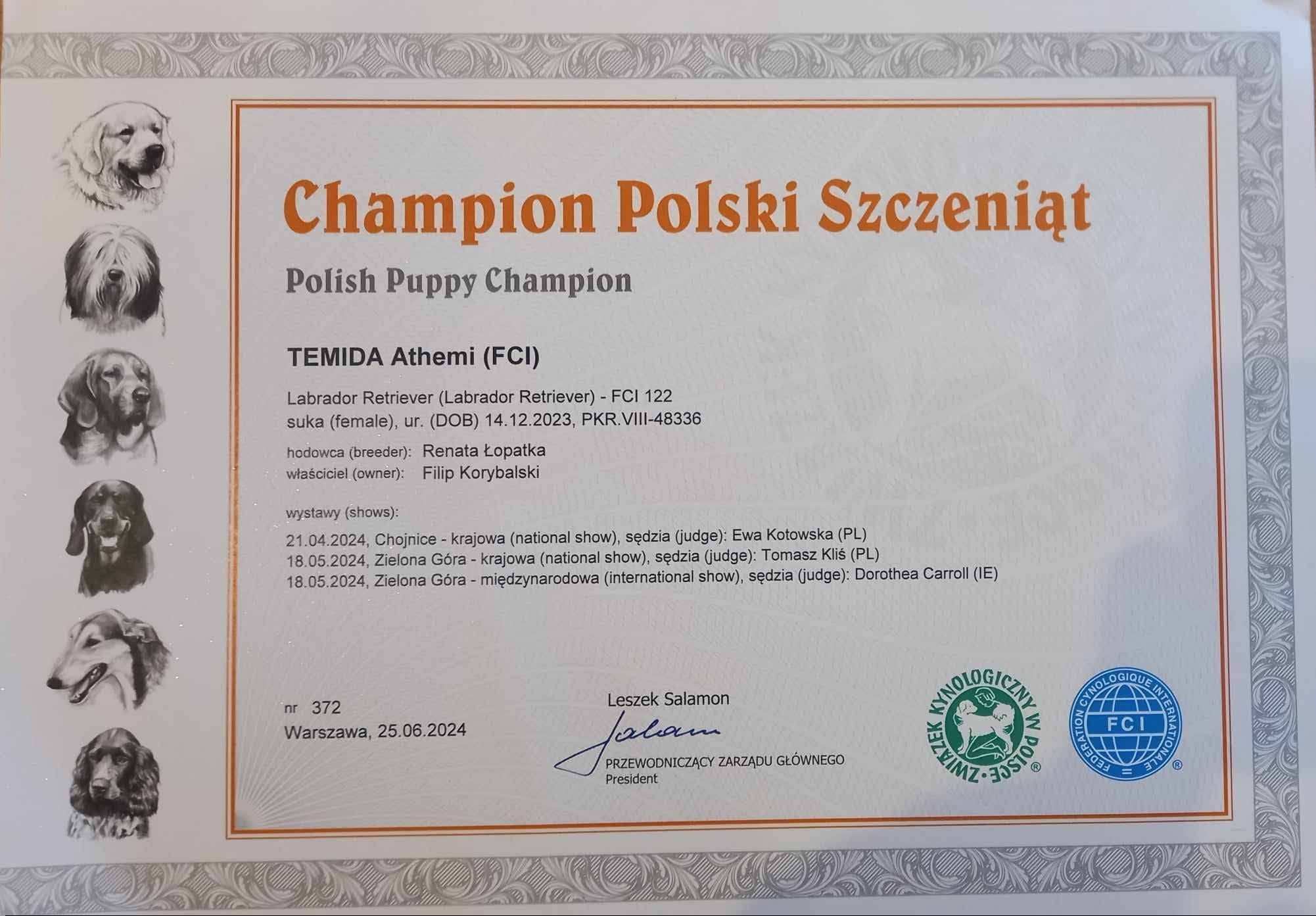 🏆 Mała TEMI oficjalnie szczeniaczkowym championem 😍 – FIGO LABS FCI