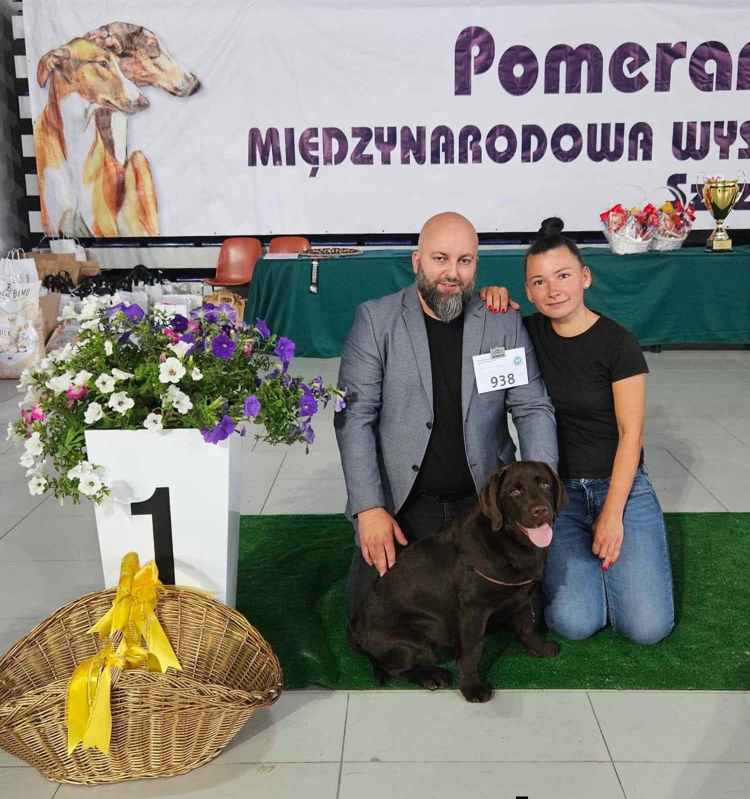 Miedzynarodowa Wystawa Psów Rasowych -Szczecin – FIGO LABS FCI