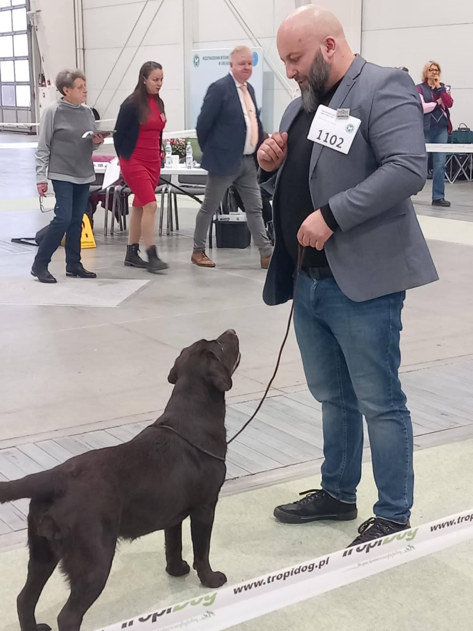 Międzynarodowa Wystawa Psów Rasowych w Lublinie – FIGO LABS FCI