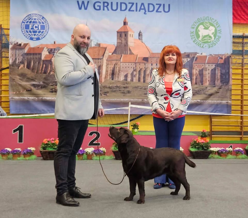 X Krajowa Wystawa Psów Rasowych Grudziądz – FIGO LABS FCI